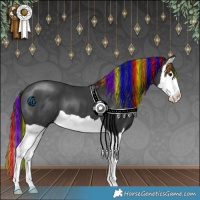 Horse Color:Painted Black Splash 