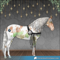 Horse Color:White Spotted Silver Classic Champagne Appaloosa 