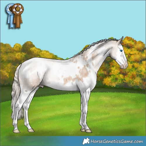 Horse Color:White Spotted Chocolate Palomino Pearl Splash