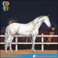 Horse Color:White Spotted Chocolate Palomino Pearl Splash 