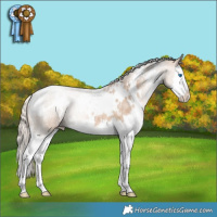 Horse Color:White Spotted Chocolate Palomino Pearl Splash 