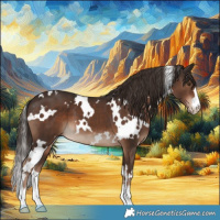 Horse Color:White Spotted Liver Chestnut