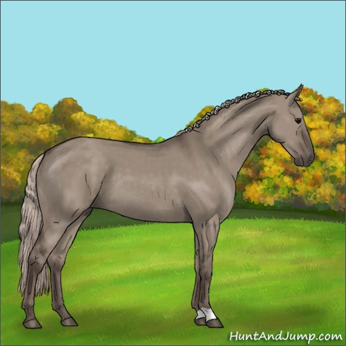 Horse Color:Silver Grullo 