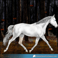 Horse Color:Gray Silver Classic Cream Champagne Pearl Splash Tobiano Frame Appaloosa Rabicano