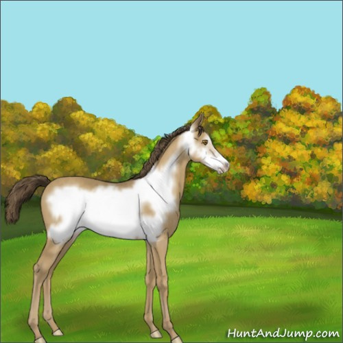Horse Color:Classic Cream Champagne Frame 