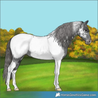 Horse Color:Black Tobiano Near Fewspot 