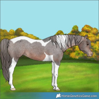 Horse Color:Brown Tobiano Varnish