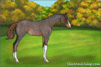 Horse Color:Liver Red Roan 