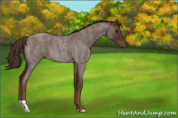Horse Color:Liver Red Roan 