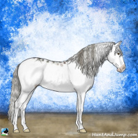 Horse Color:Liver Red Dun Ice Mushroom Sabino Rabicano