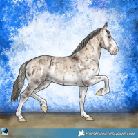 Horse Color:Liver Red Dun Onyx Mushroom Sabino Brindle 