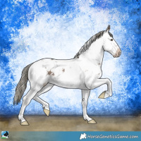 Horse Color:Liver Red Dun Mushroom Sabino Rabicano Brindle