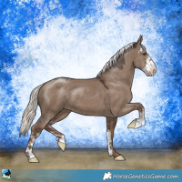 Horse Color:Liver Red Dun Mushroom Sabino 
