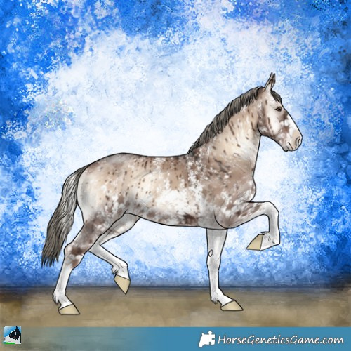 Horse Color:Liver Red Dun Onyx Mushroom Sabino Brindle