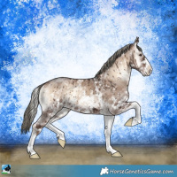 Horse Color:Liver Red Dun Onyx Mushroom Sabino Brindle 