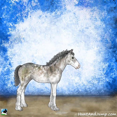 Horse Color:Grullo Onyx Mushroom Sabino Rabicano Brindle 