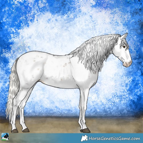 Horse Color:Liver Red Onyx Mushroom Sabino Rabicano