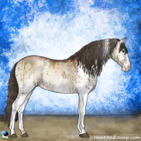 Horse Color:White Spotted Grullo Pearl Onyx Brindle 