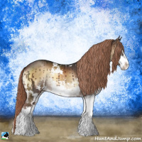 Horse Color:Liver Red Onyx Sabino Rabicano 