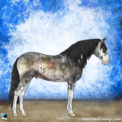 Horse Color:Brown Ice Onyx Mushroom Sabino 