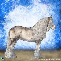 Horse Color:Liver Red Onyx Ice Mushroom Sabino Rabicano 