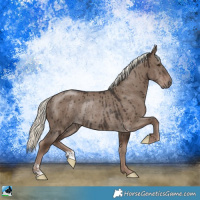 Horse Color:Liver Red Dun Mushroom Rabicano Brindle 