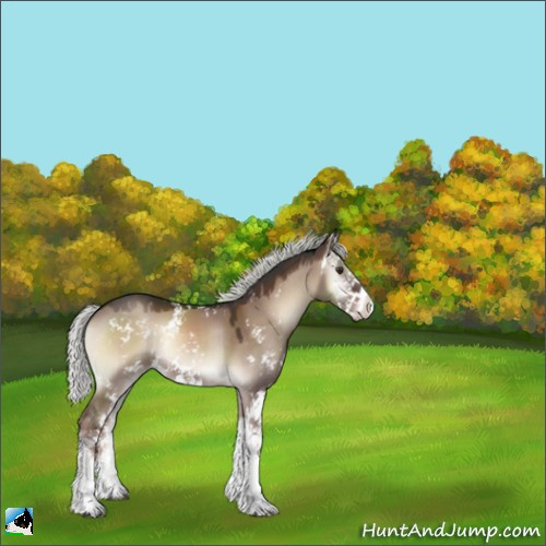 Horse Color:Liver Red Dun Onyx Mushroom Sabino Splash 