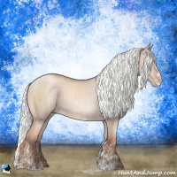 Horse Color:Gold Champagne Dun Mushroom Sabino Brindle 