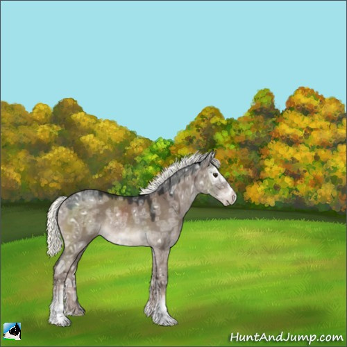 Horse Color:Liver Red Dun Ice Mushroom Sabino Rabicano 