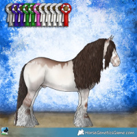 Horse Color:Classic Champagne Onyx Mushroom Sabino