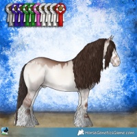 Horse Color:Classic Champagne Onyx Mushroom Sabino