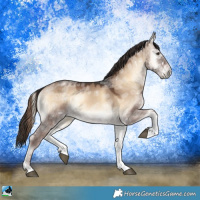 Horse Color:Liver Red Dun Ice Onyx Rabicano