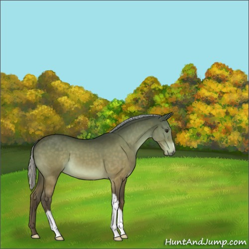 Horse Color:Silver Brown 