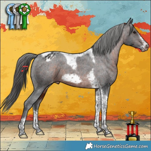 Horse Color:Brown Tobiano Frame Appaloosa Rabicano 