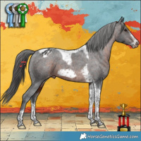 Horse Color:Brown Tobiano Frame Varnish Rabicano 