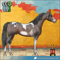 Horse Color:Brown Tobiano Frame Appaloosa Rabicano 