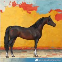 Horse Color:Brown Tobiano 