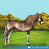 Horse Color:Liver Red Onyx