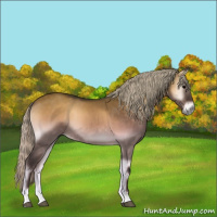 Horse Color:Silver Brown Onyx 