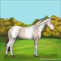 Horse Color:White Spotted Liver Red Dun Roan 
