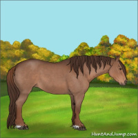 Horse Color:Liver Red Roan 