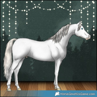 Horse Color:Perlino Roan Near Fewspot Rabicano 