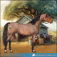 Horse Color:Bay Roan 