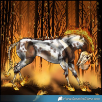 Horse Color:Brown Tobiano Rabicano