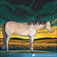 Horse Color:Bay Dun  and White Spotted Bay Dun 