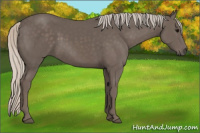 Horse Color:Silver Black 