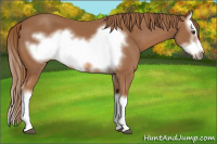 Horse Color:Chestnut Splash Frame 