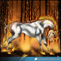 Horse Color:White Spotted Chocolate Silver Bay Roan Splash Frame Rabicano 