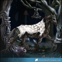 Horse Color:Liver Red Onyx Appaloosa 