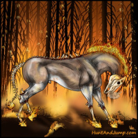 Horse Color:Bay Dun Splash 